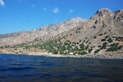 Charoupodasos (Carob tree Forest)