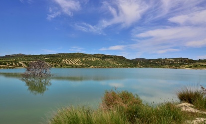 Armanogeia dam